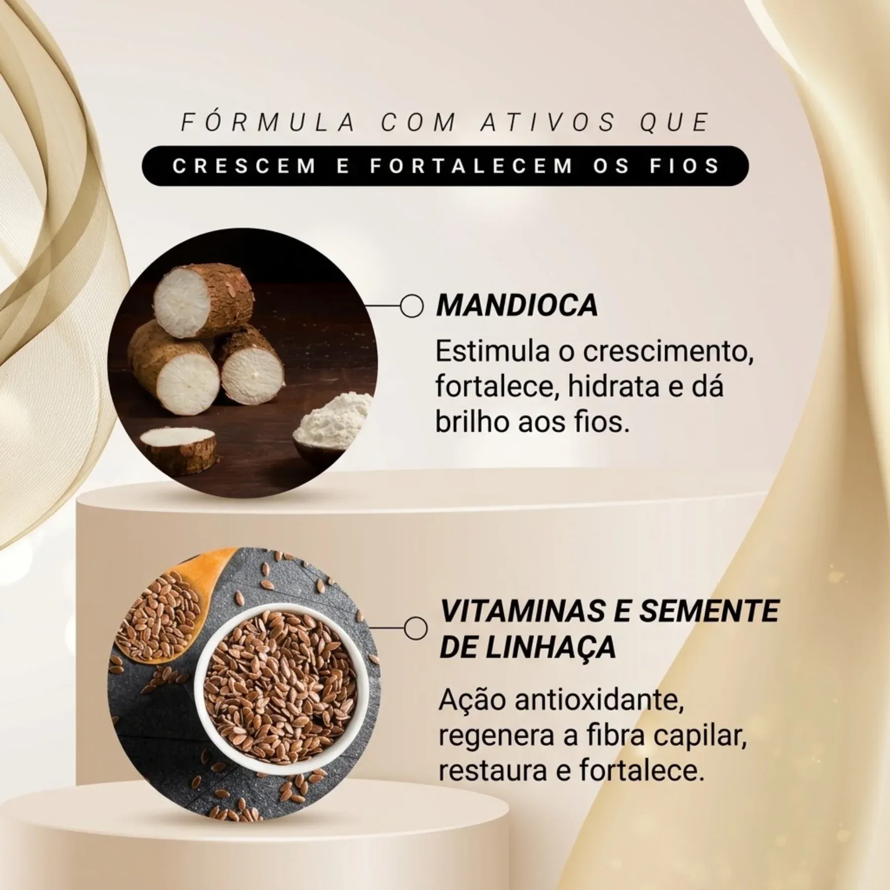 EICO MANDIOCA